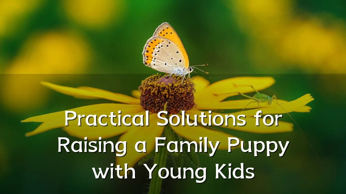 Practical Solutions for Raising a Family Puppy with Young Kids