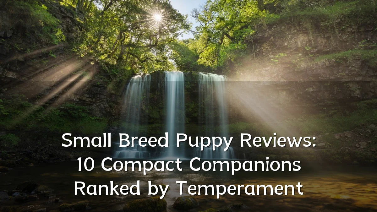 Small Breed Puppy Reviews: 10 Compact Companions Ranked by Temperament
