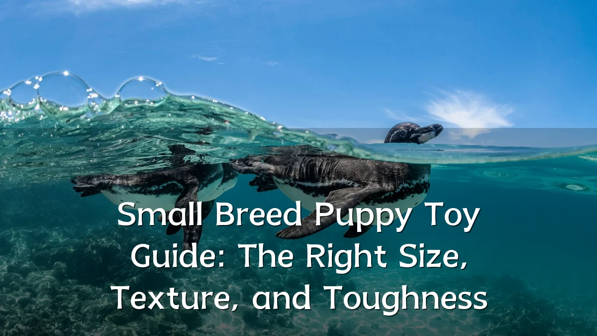 Small Breed Puppy Toy Guide: The Right Size, Texture, and Toughness