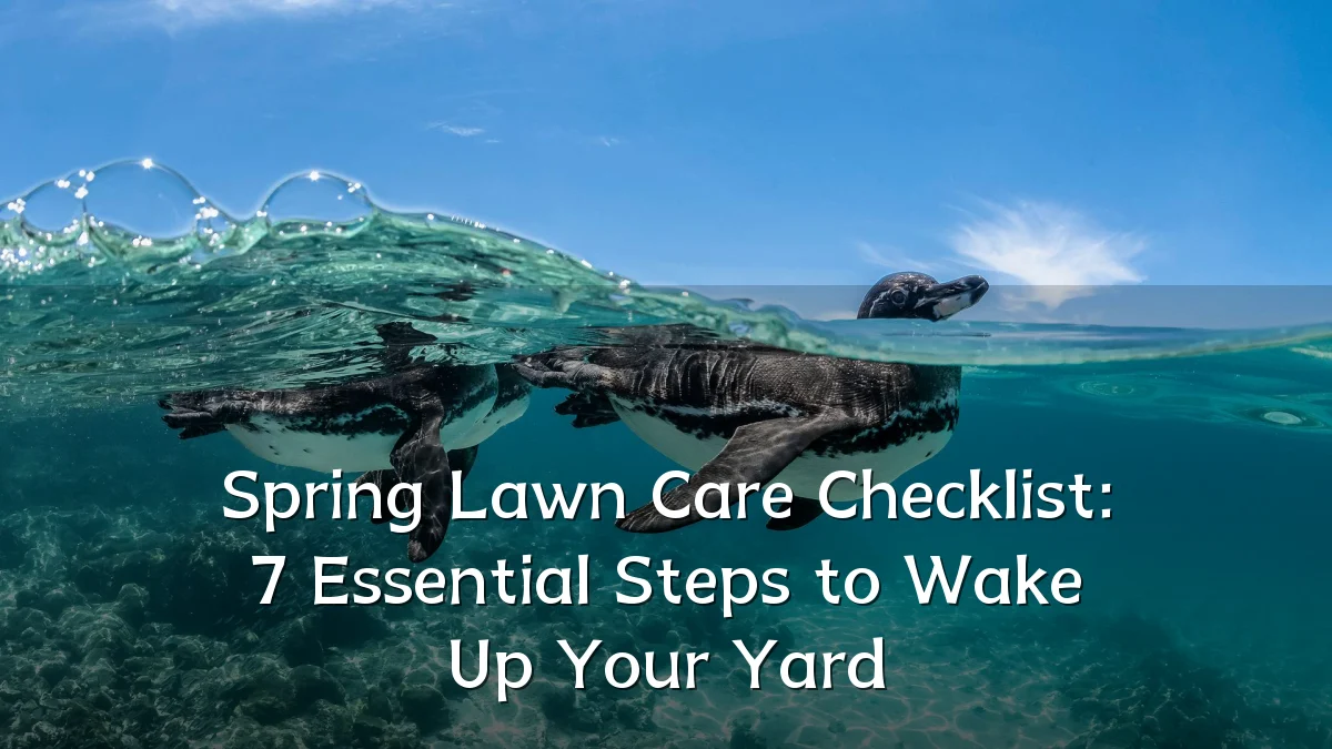 Spring Lawn Care Checklist: 7 Essential Steps to Wake Up Your Yard