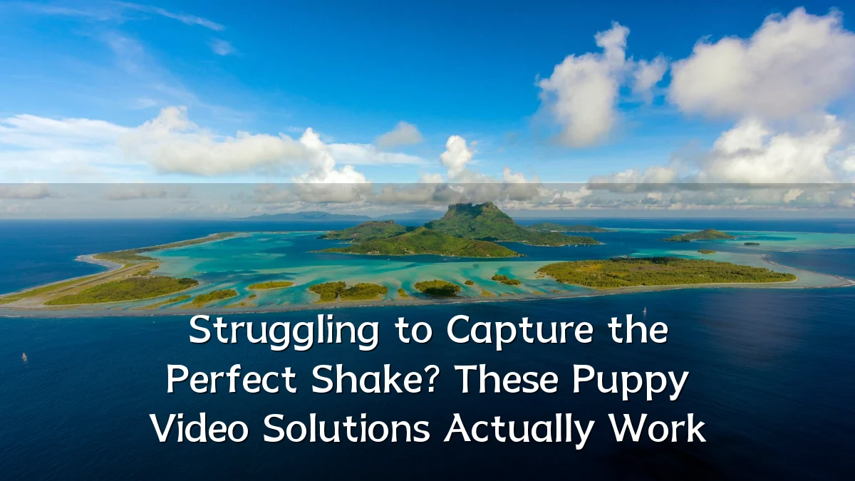 Struggling to Capture the Perfect Shake? These Puppy Video Solutions Actually Work