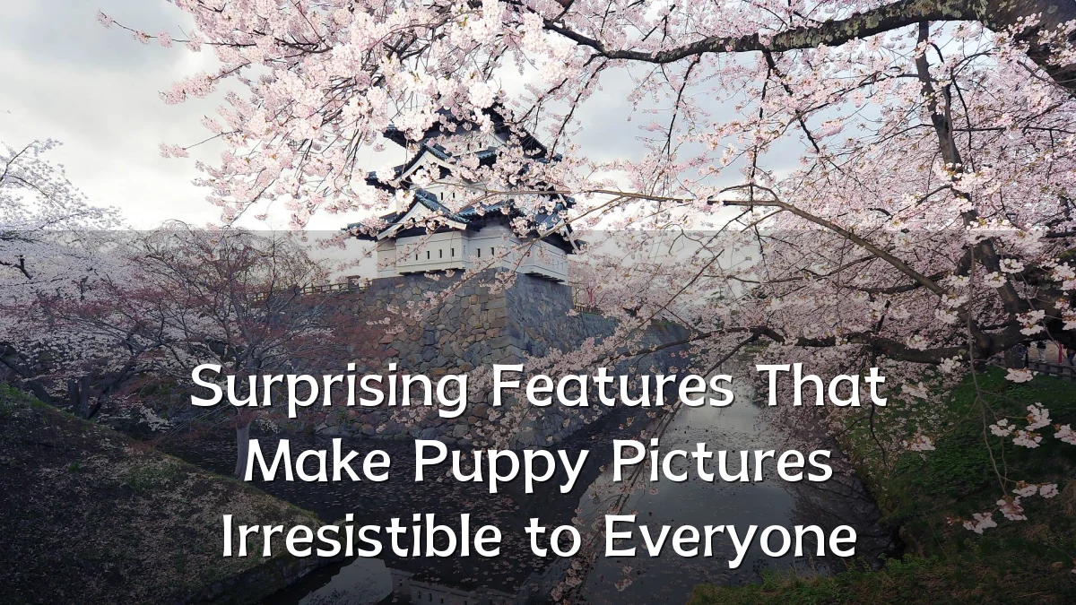 Surprising Features That Make Puppy Pictures Irresistible to Everyone