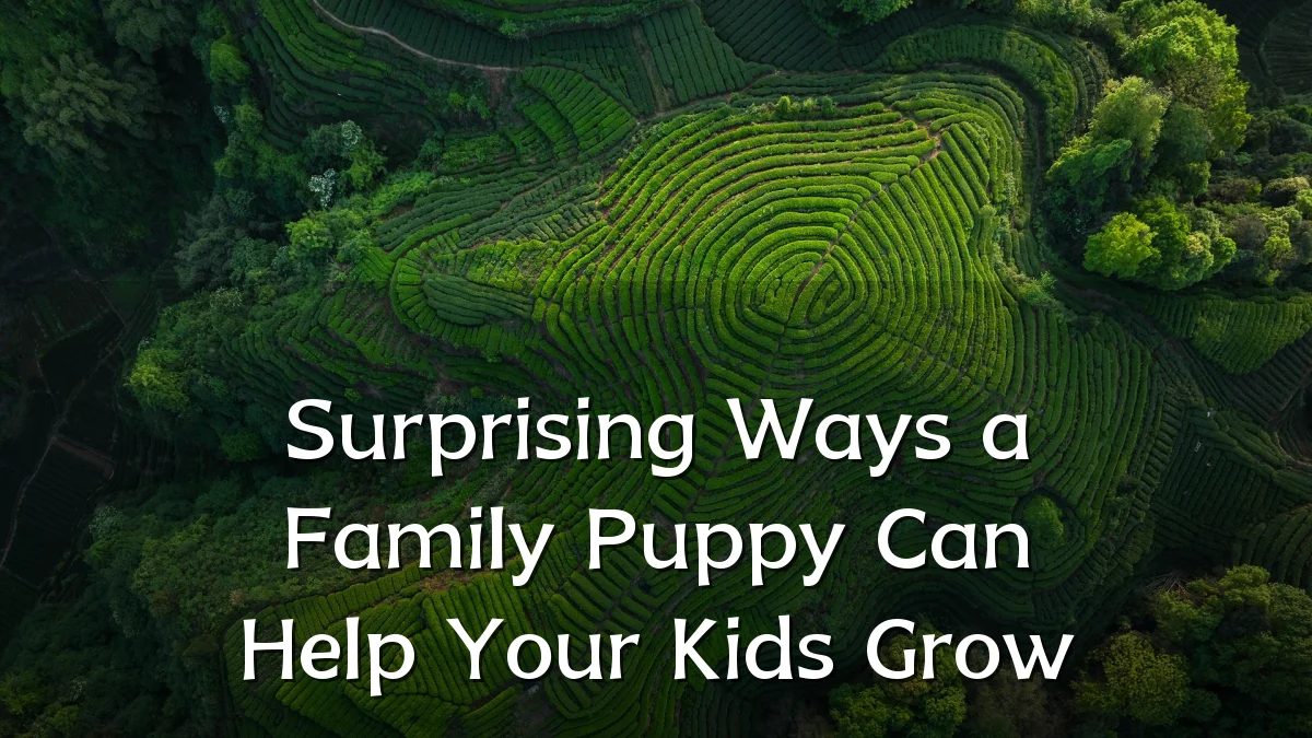 Surprising Ways a Family Puppy Can Help Your Kids Grow