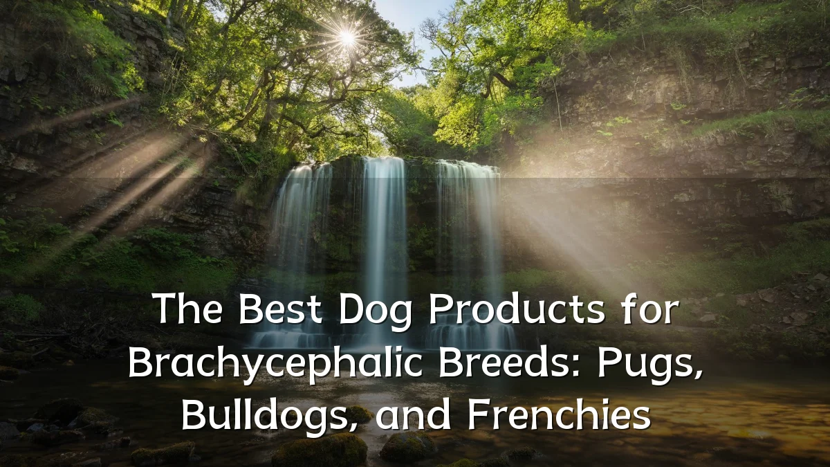 The Best Dog Products for Brachycephalic Breeds: Pugs, Bulldogs, and Frenchies