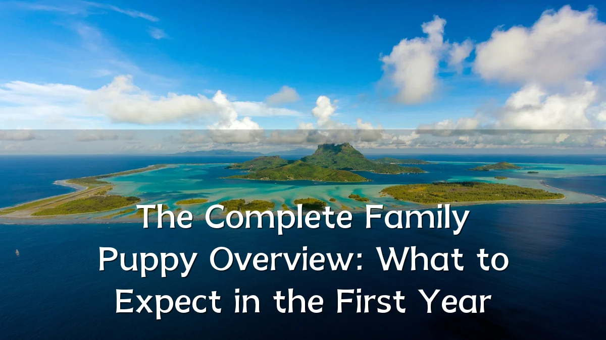 The Complete Family Puppy Overview: What to Expect in the First Year