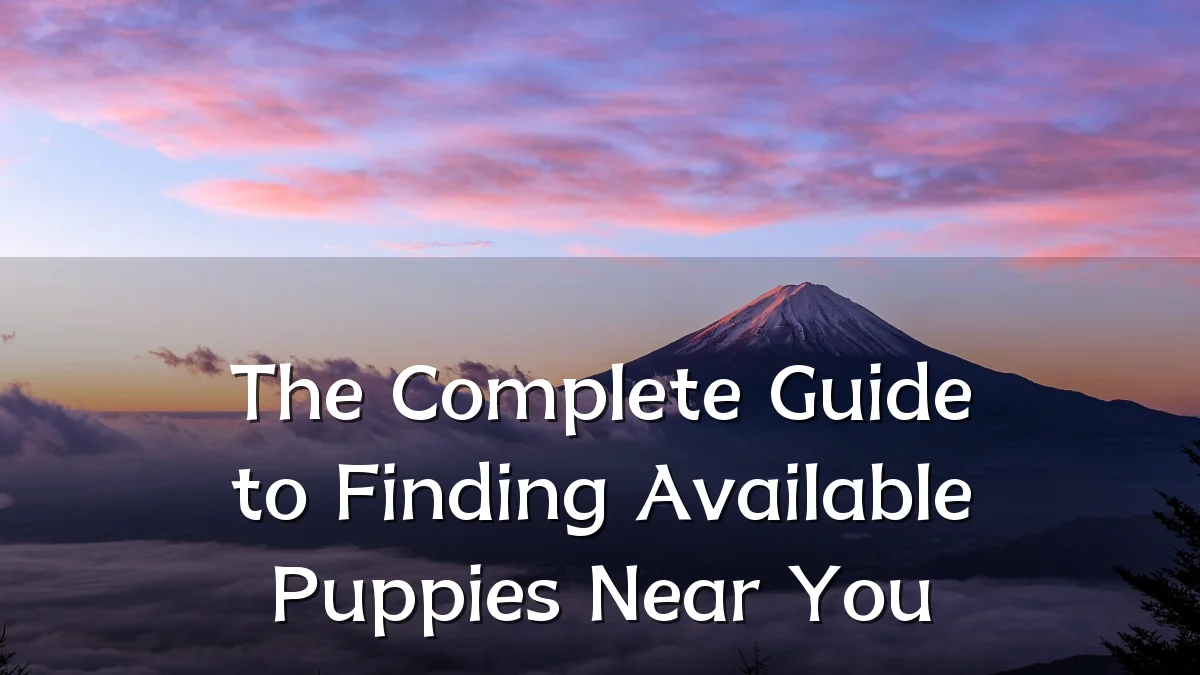 The Complete Guide to Finding Available Puppies Near You