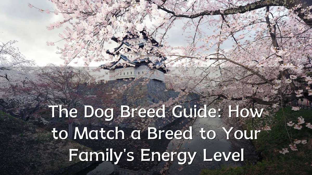 The Dog Breed Guide: How to Match a Breed to Your Family's Energy Level
