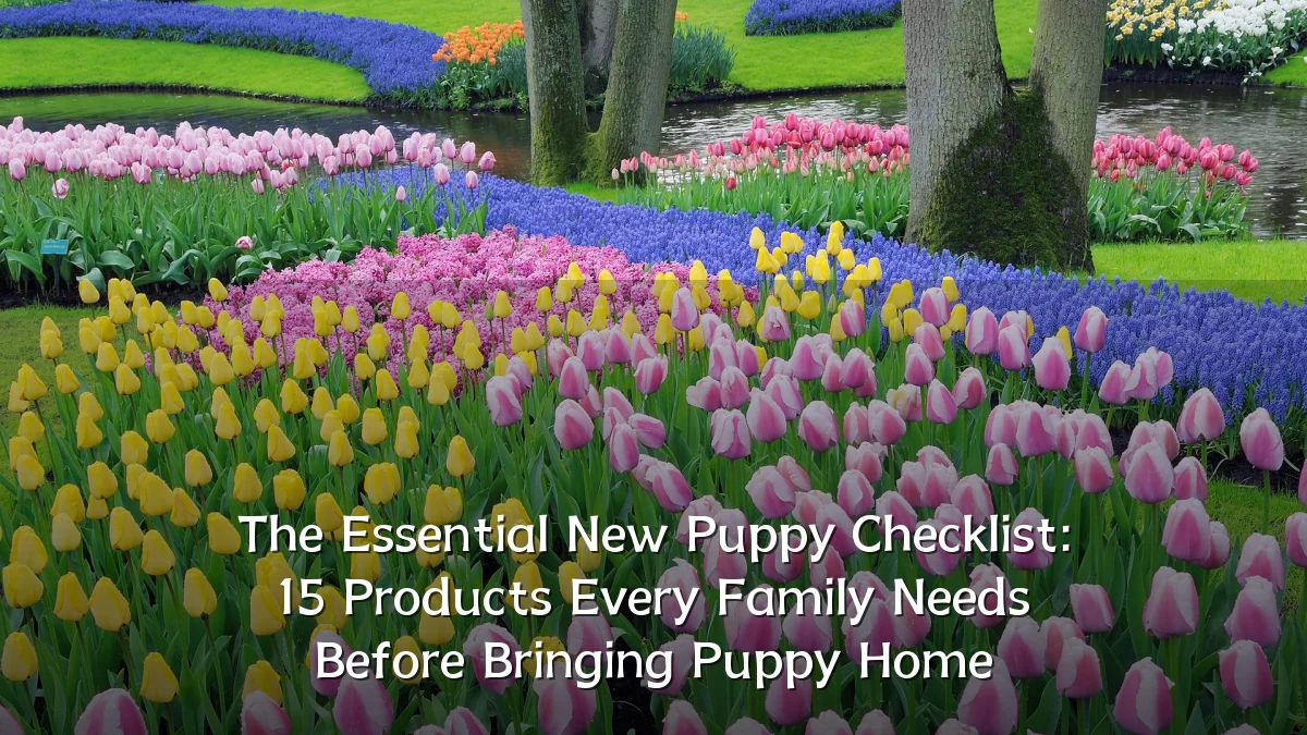 The Essential New Puppy Checklist: 15 Products Every Family Needs Before Bringing Puppy Home