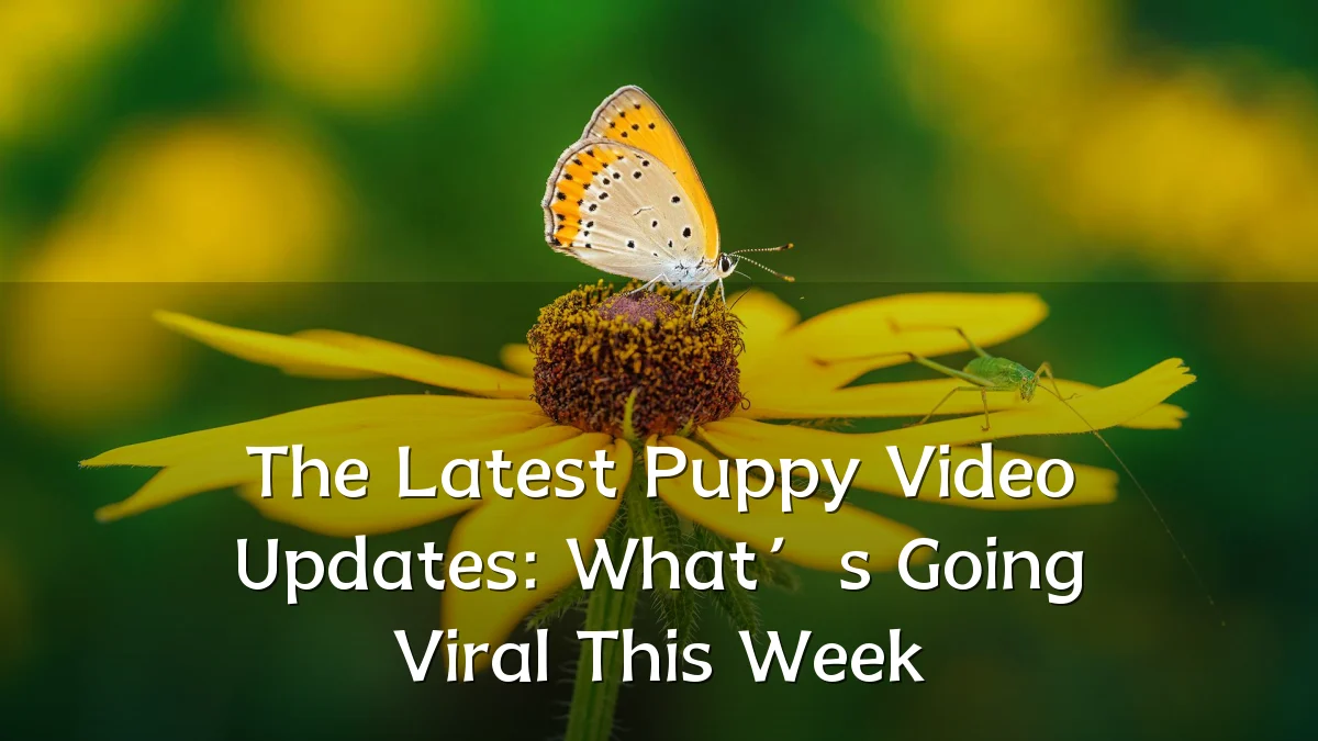 The Latest Puppy Video Updates: What’s Going Viral This Week