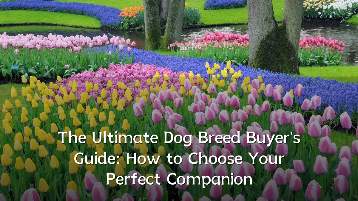 The Ultimate Dog Breed Buyer's Guide: How to Choose Your Perfect Companion