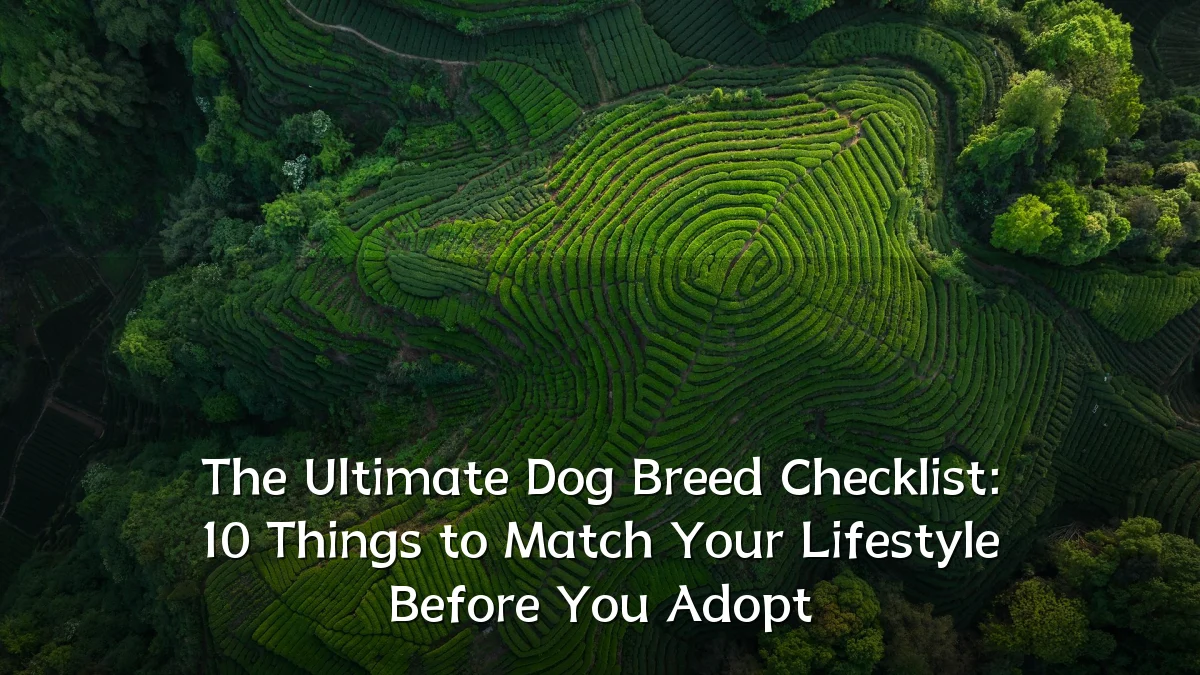 The Ultimate Dog Breed Checklist: 10 Things to Match Your Lifestyle Before You Adopt
