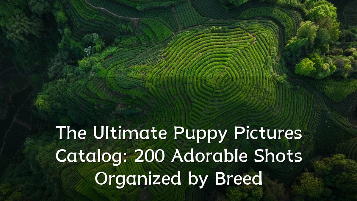 The Ultimate Puppy Pictures Catalog: 200 Adorable Shots Organized by Breed
