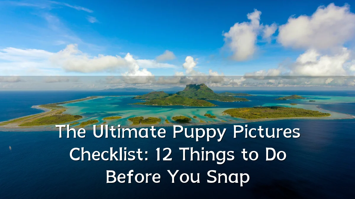 The Ultimate Puppy Pictures Checklist: 12 Things to Do Before You Snap