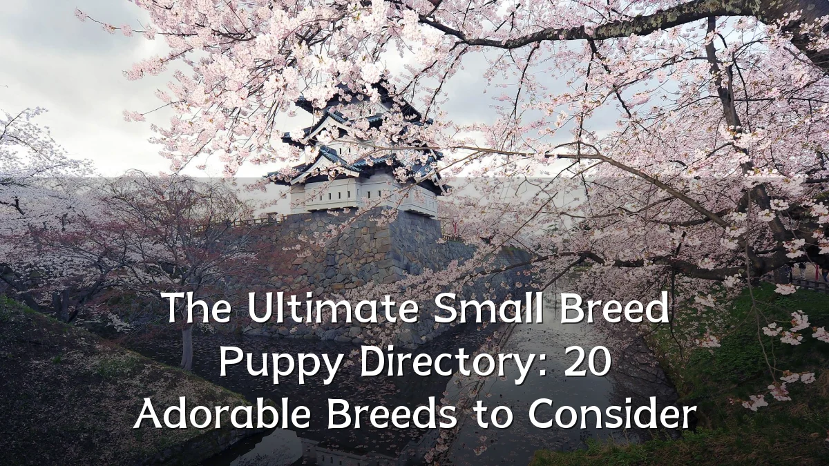 The Ultimate Small Breed Puppy Directory: 20 Adorable Breeds to Consider