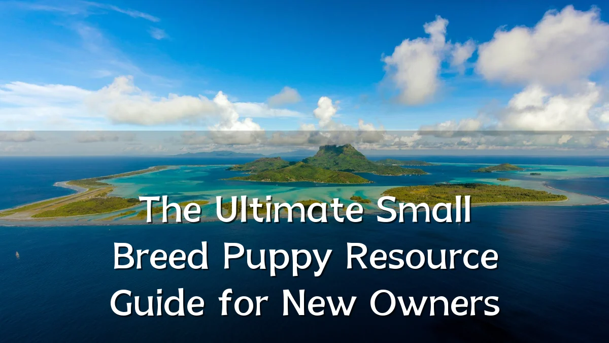 The Ultimate Small Breed Puppy Resource Guide for New Owners