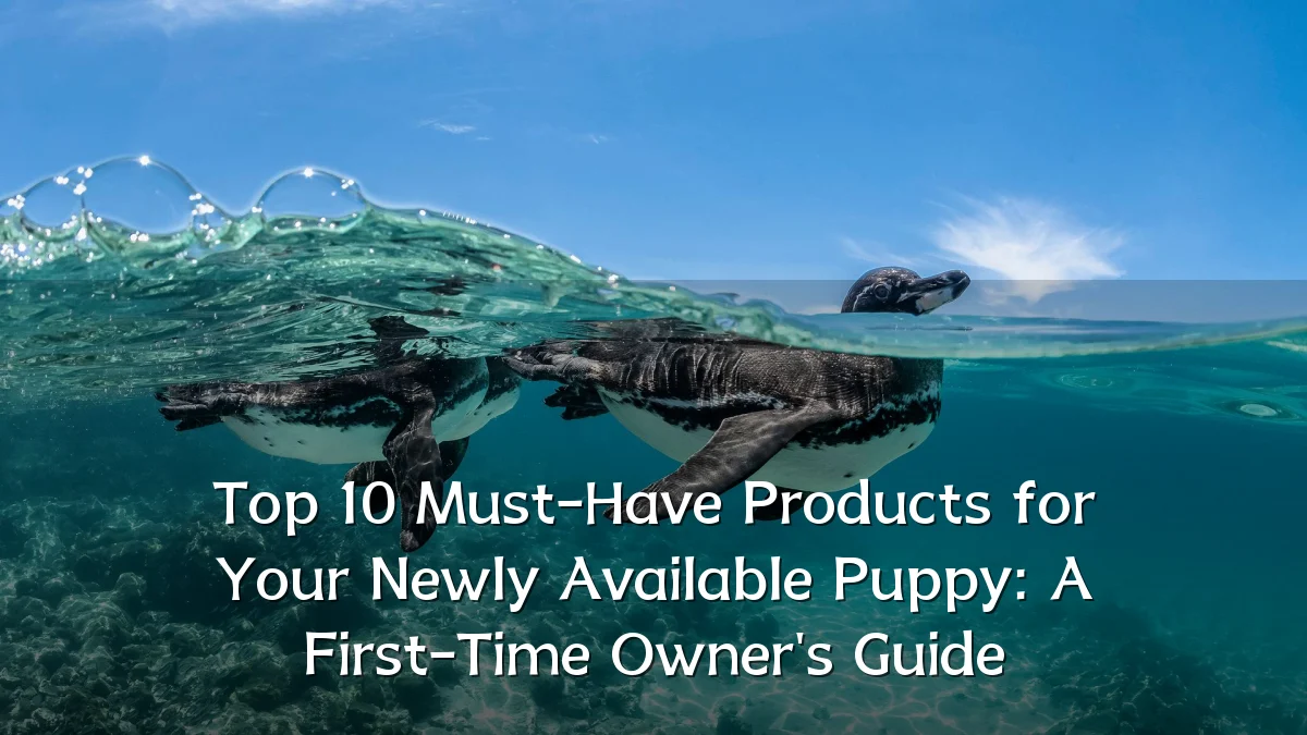 Top 10 Must-Have Products for Your Newly Available Puppy: A First-Time Owner's Guide