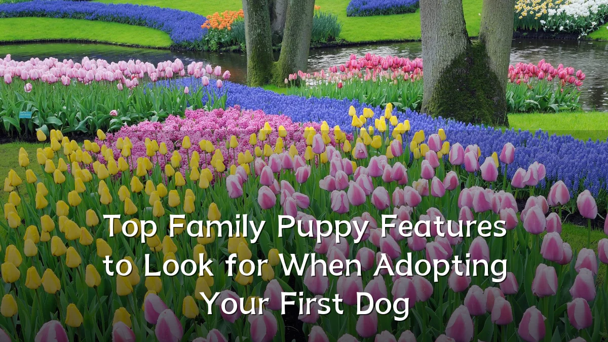 Top Family Puppy Features to Look for When Adopting Your First Dog