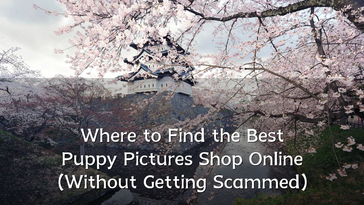 Where to Find the Best Puppy Pictures Shop Online (Without Getting Scammed)