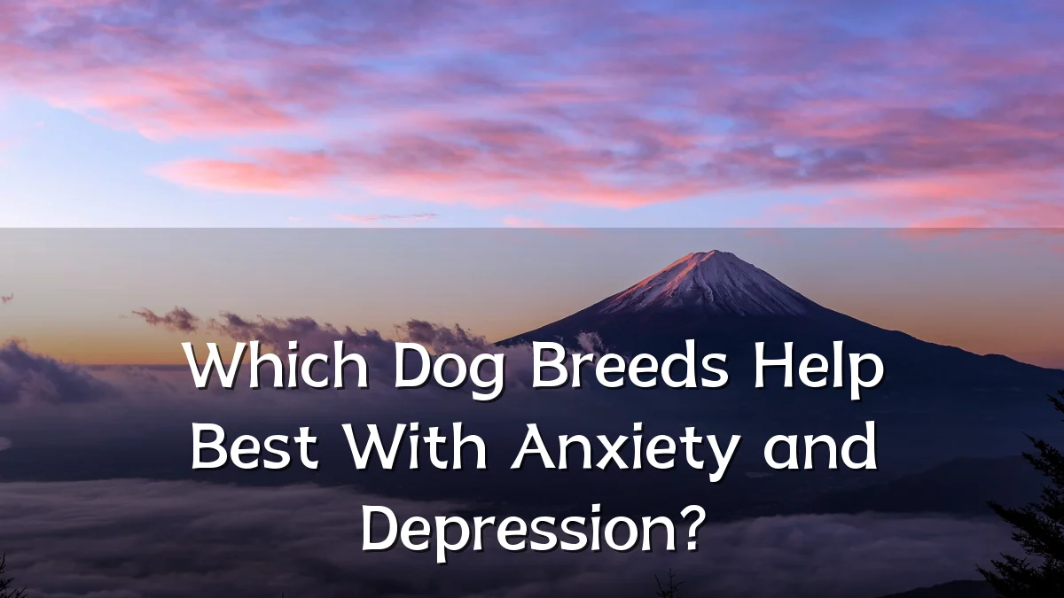 Which Dog Breeds Help Best With Anxiety and Depression?