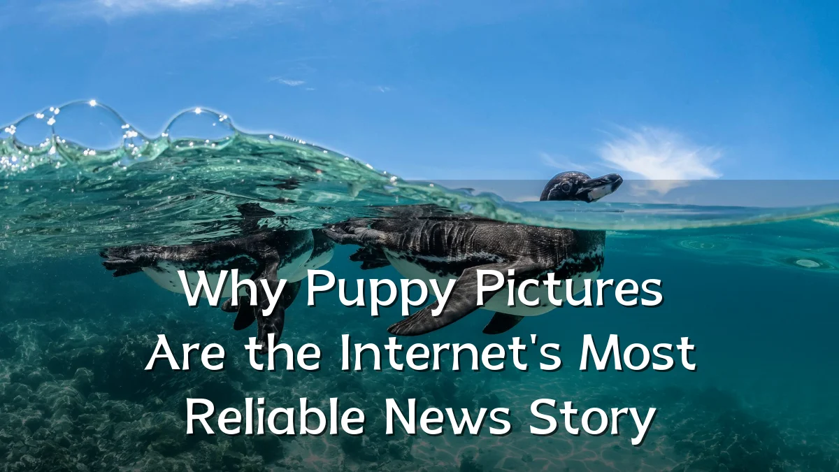 Why Puppy Pictures Are the Internet's Most Reliable News Story