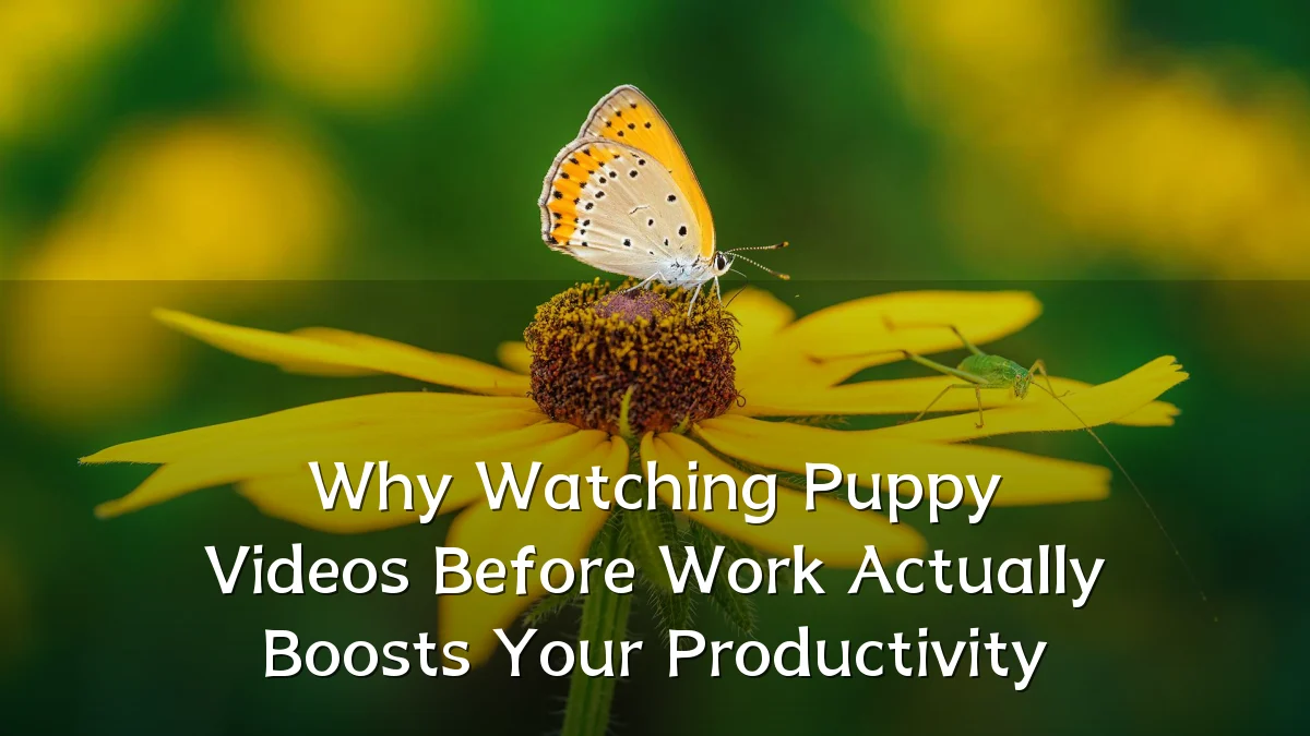 Why Watching Puppy Videos Before Work Actually Boosts Your Productivity