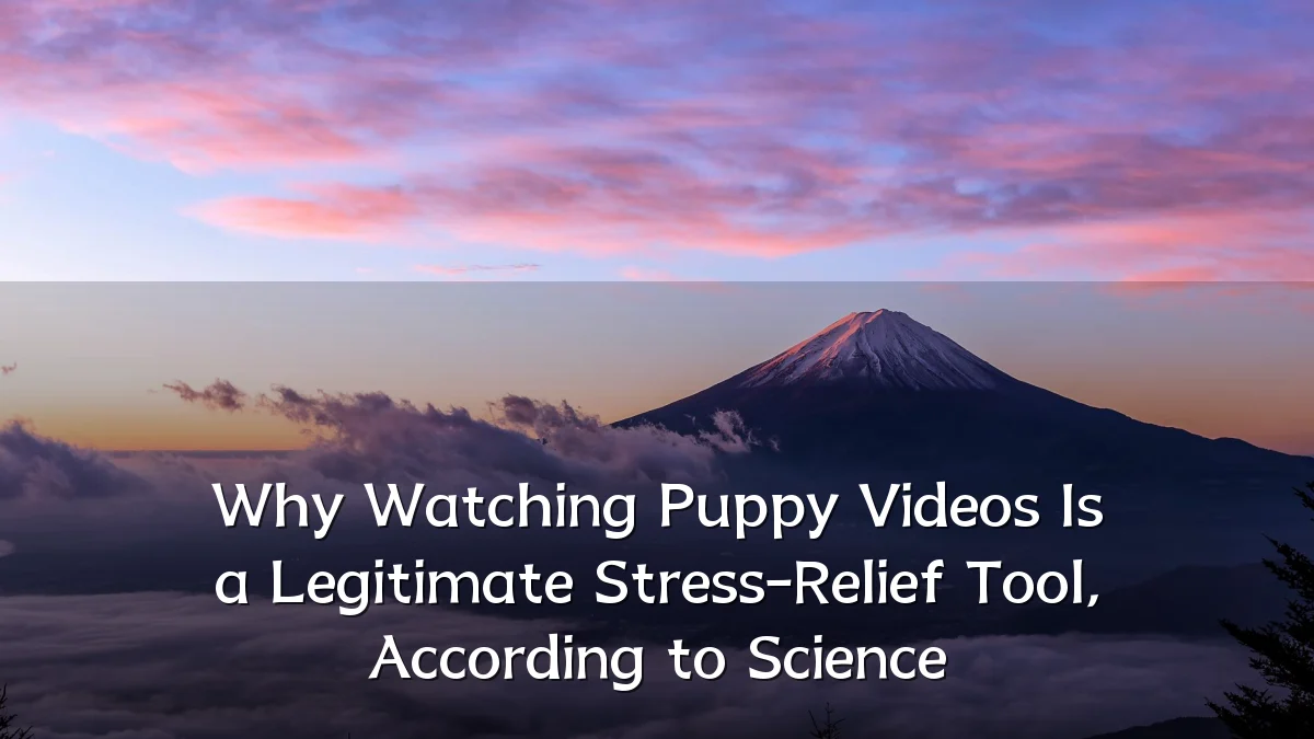 Why Watching Puppy Videos Is a Legitimate Stress-Relief Tool, According to Science