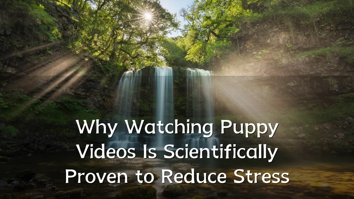 Why Watching Puppy Videos Is Scientifically Proven to Reduce Stress