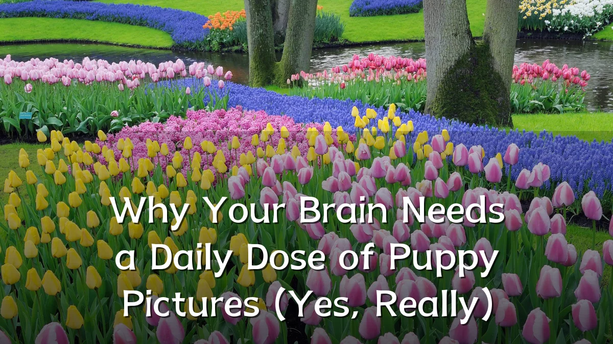Why Your Brain Needs a Daily Dose of Puppy Pictures (Yes, Really)
