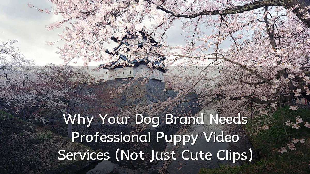 Why Your Dog Brand Needs Professional Puppy Video Services (Not Just Cute Clips)